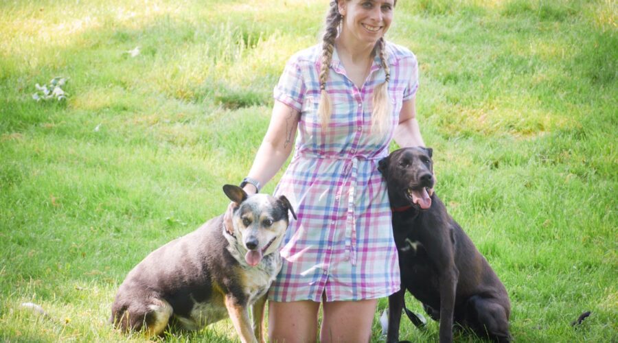 Animal Communicator Nancy Mello Illuminates The Ways To Have An Effective Communication With Pets